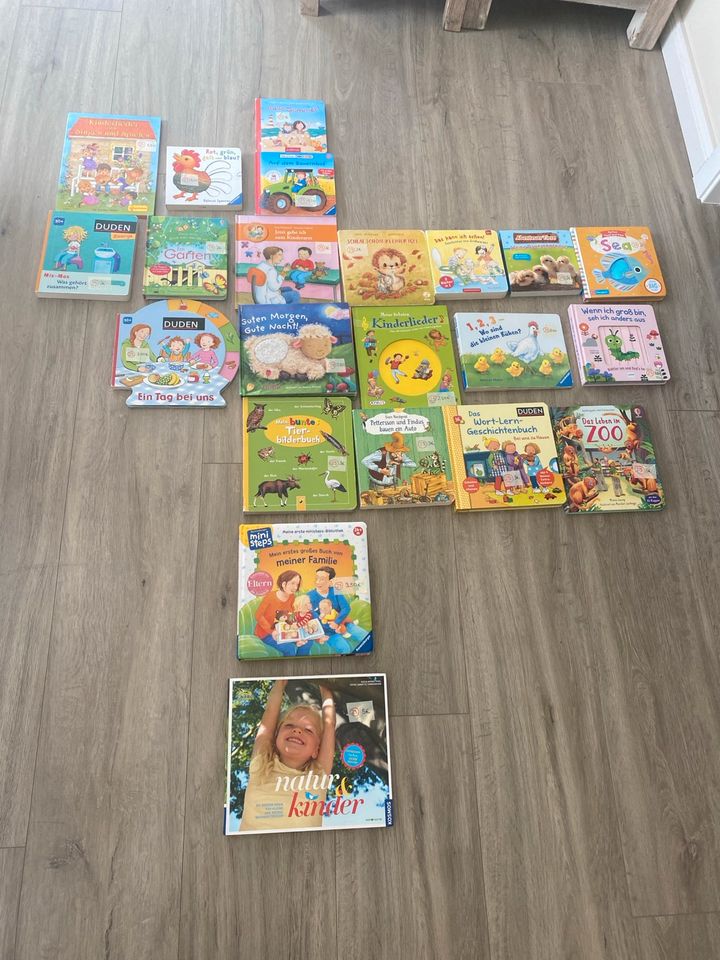 Kinderbücher Bildernücher in Embsen