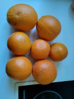 7 leckere Orangen - einzeln oder zusammen - Brandenburg - Eberswalde Vorschau