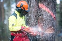 Motorsägenkurs, Kettensägenkurs Brandenburg - Rheinsberg Vorschau