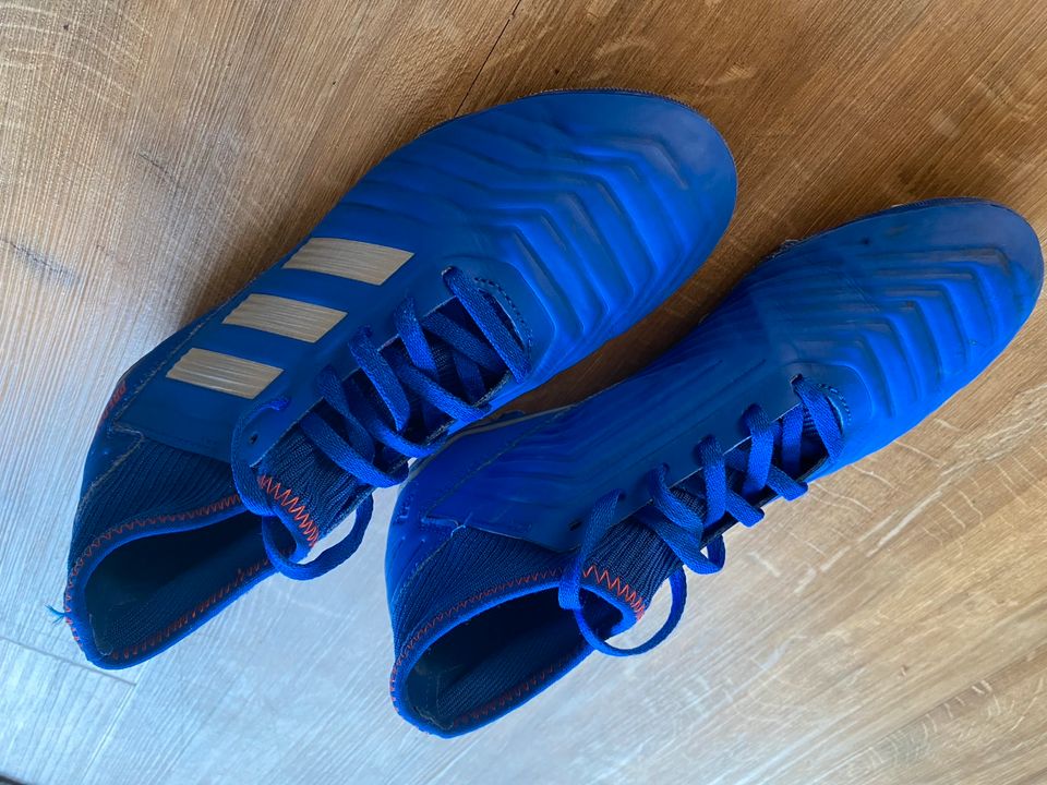 Adidas, Predator, Fußballschuhe, Größe 37,5 in Norderstedt