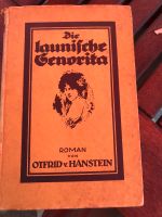 Altes Buch von 1928 die launische Senorita / Brasilien Au i.d.Hallertau - Au Vorschau