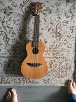 hübsche Ukulele von Stagg Dortmund - Brackel Vorschau