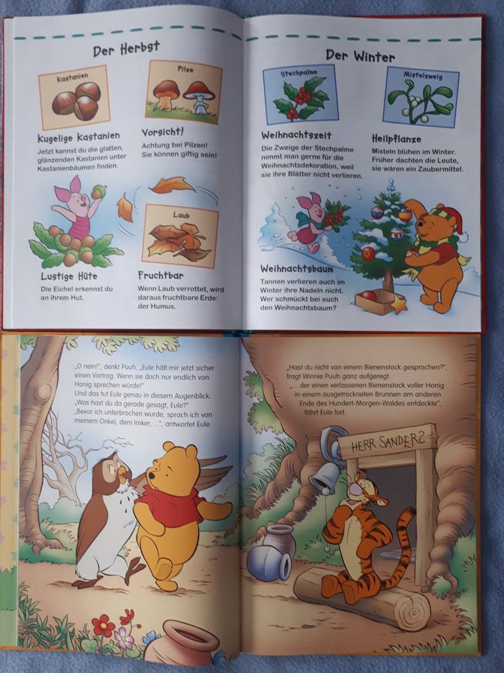 22 Disney Winnie Puuh Bücher Sammlung Kinderbücher-Antolin Top in Siegen
