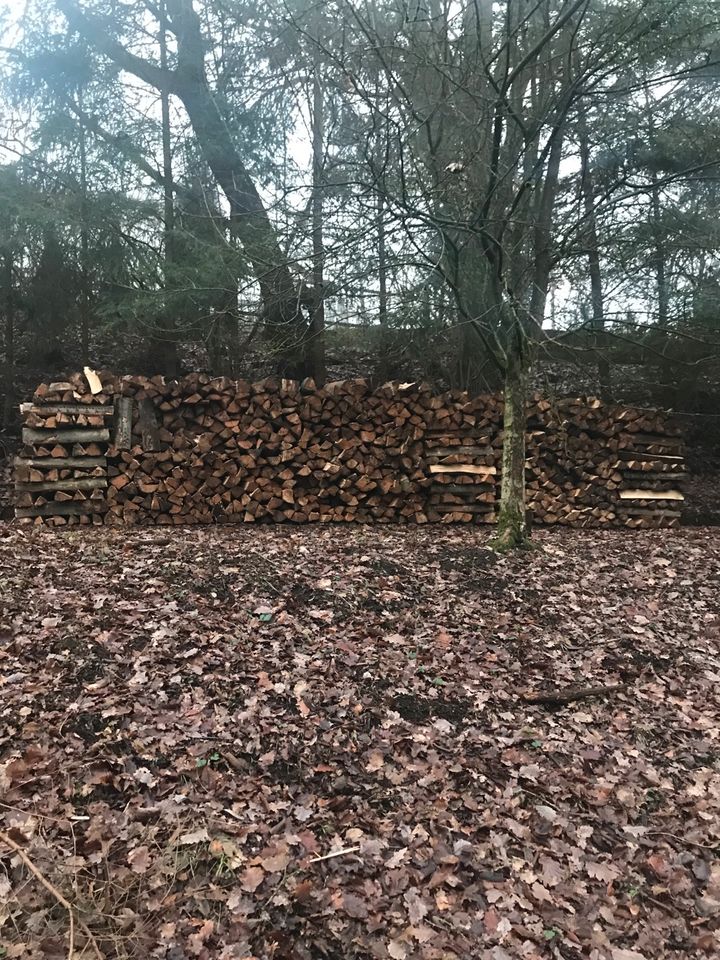 Meterstücke Brennholz Kaminholz 1Rm in Hillscheid