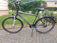 Hercules 28 Zoll  Herren- Trekkingfahrrad Thüringen - Nobitz Vorschau