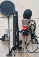 Zingyou Mikrofon BM-800 Schleswig-Holstein - Rumohr Vorschau