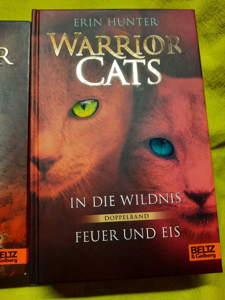 4 Bücher der Serie - Warrior Cats - Katzen in Plettenberg