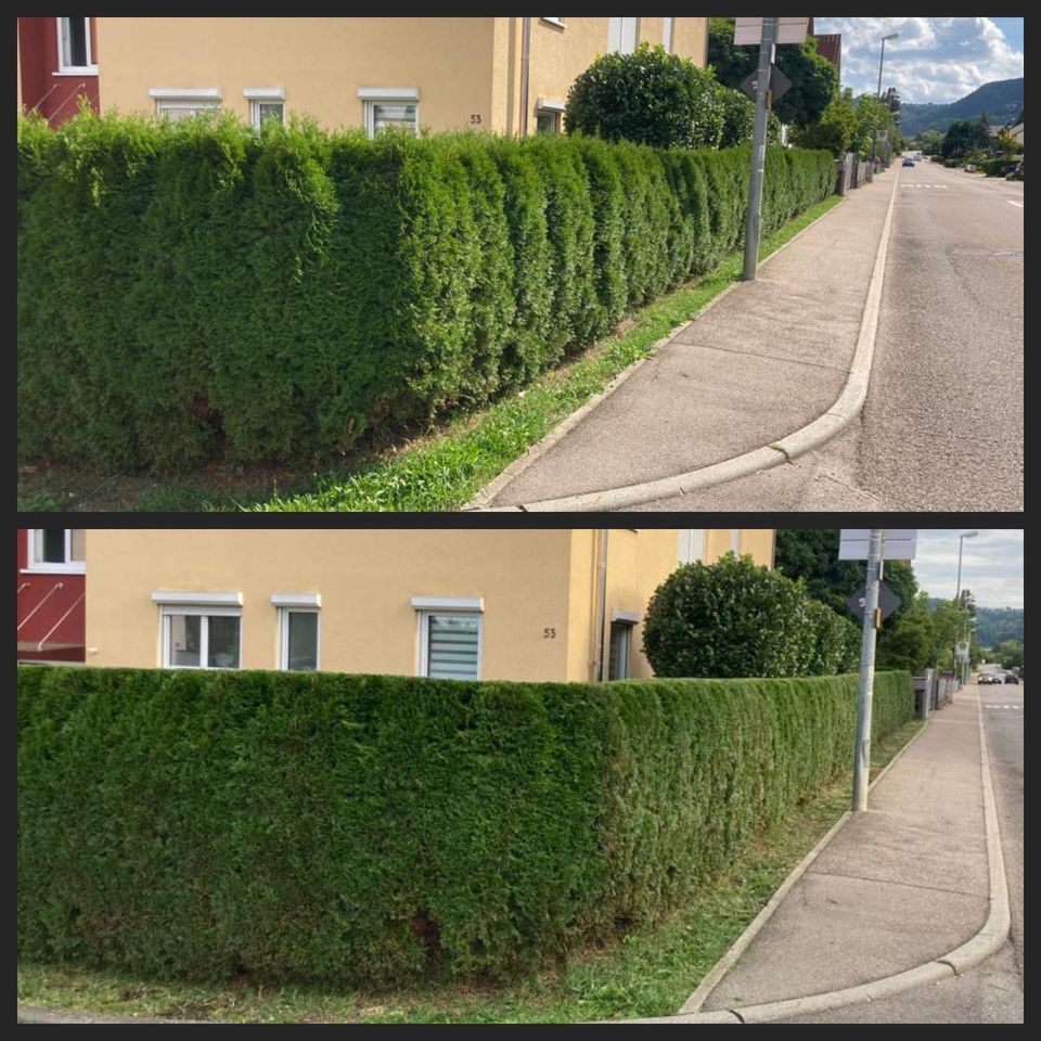 Gartenpflege, Hecke schneiden, Baumfällung, Heckenschnitt, Rasen in Mögglingen