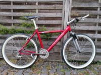 Mountainbike Panasonic PDT 963 retro vintage Hessen - Hanau Vorschau