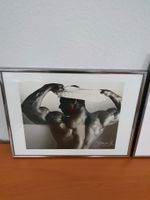 Bilderrahmen 40x30 cm, aus Kunststoff mit Bild, silber-schwarz Berlin - Spandau Vorschau