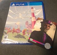 Summertime Madness PS4 Limited Run Games Hamburg - Bergedorf Vorschau