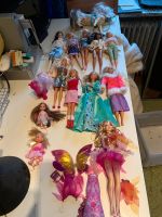 Barbie Puppen Sammlung plus Pferd & Extras Hamburg-Nord - Hamburg Groß Borstel Vorschau