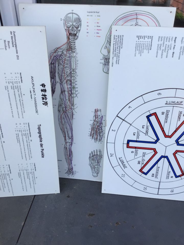 Chinesische  Akupunktur Tafeln in Radolfzell am Bodensee