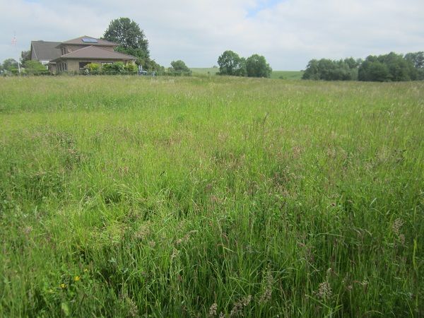 Attraktives Baugrundstück mit ca. 1320 m² in 19217 Gletzow nahe der Stadt Rehna, zwischen Schwerin und Lübeck in Königsfeld (in Mecklenburg)