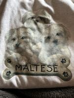 Malteser Pullover xxl Nordrhein-Westfalen - Ahaus Vorschau