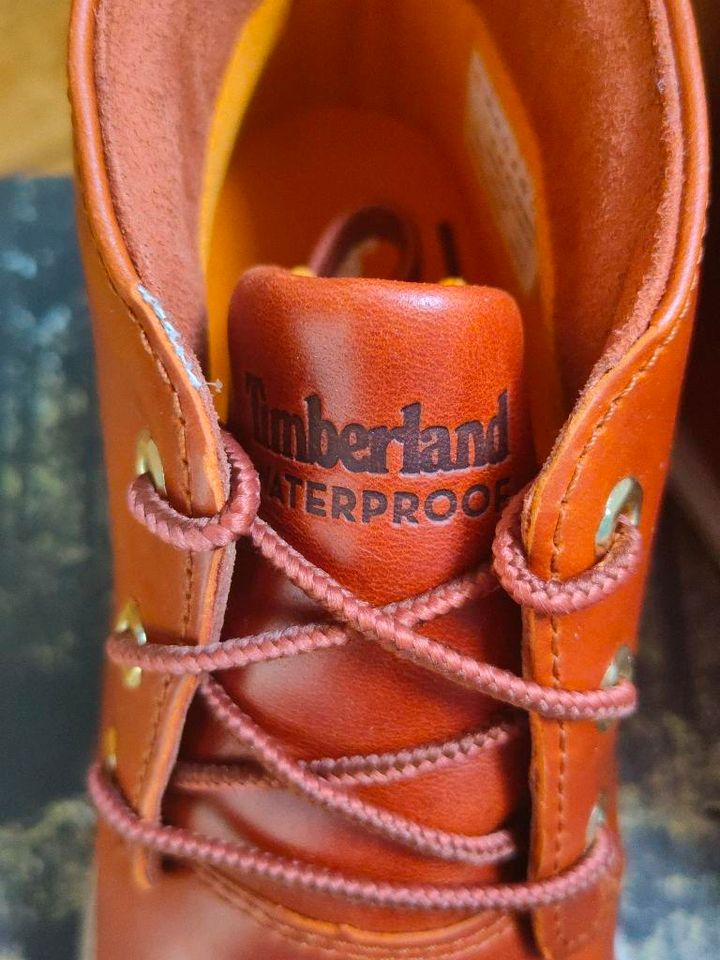 Neu Timberland Schnürschuhe Boots TBL 1973 NEWMAN CHUKKA Gr. 36 in Lübbecke 