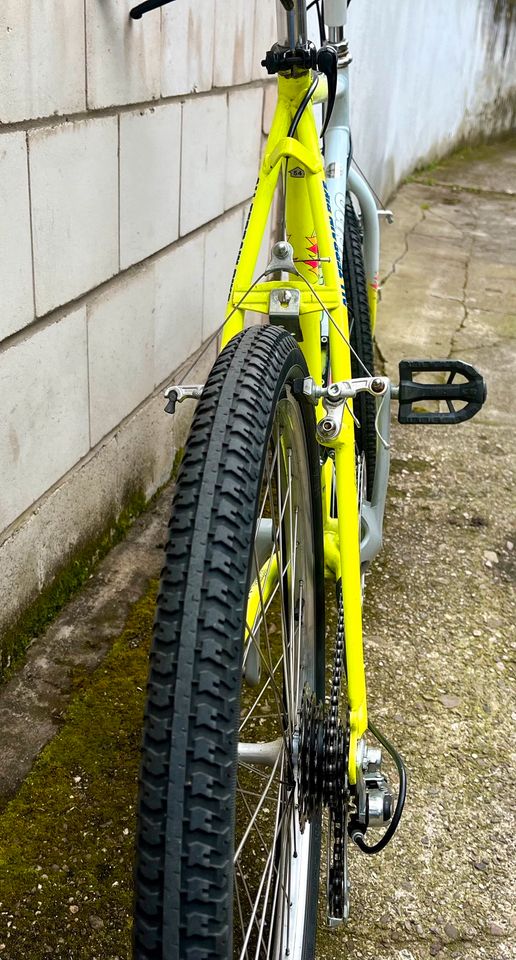 Vintage Mountain Bike von 1989 Rahmenhöhe 54 in Saarlouis