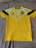 BVB Borussia Dortmund Iconic Shirt Gr S Puma sehr guter Zustand Hessen - Heuchelheim Vorschau