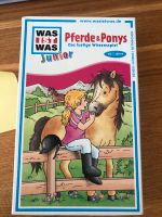 Pferde und Ponys Spiel Bayern - Laaber Vorschau