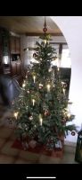Künstlicher Weihnachtsbaum Nordrhein-Westfalen - Windeck Vorschau