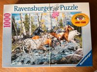 Ravensburger 'Look and Find' Puzzle "Pferde" 1000 Teile Hessen - Nidderau Vorschau