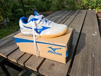 Mizuno Wave Drive Tischtennis Schuhe Gr 40 Hessen - Dillenburg Vorschau