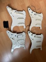 Fender Strat Pickups: Josephina, Ybarra, Lace Sensor, Texas Sp Brandenburg - Fredersdorf-Vogelsdorf Vorschau