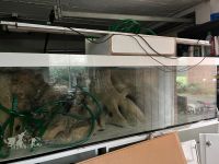 Aquarium/Terrarium 200/60/60 mit Rückwand Nordrhein-Westfalen - Selm Vorschau