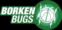 Basketball "Borken Bugs" Hessen - Borken Vorschau
