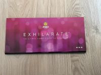 Zumba Exhilrate DVD Experience Kreis Ostholstein - Sereetz Vorschau