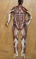 Original Morphsuit, Fleisch-Anzug, Karneval, Fasching, Muskeln Lübeck - St. Lorenz Nord Vorschau