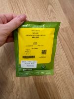 Profisamen Melisse 100 g Natursamen Graines Voltz Berlin - Biesdorf Vorschau