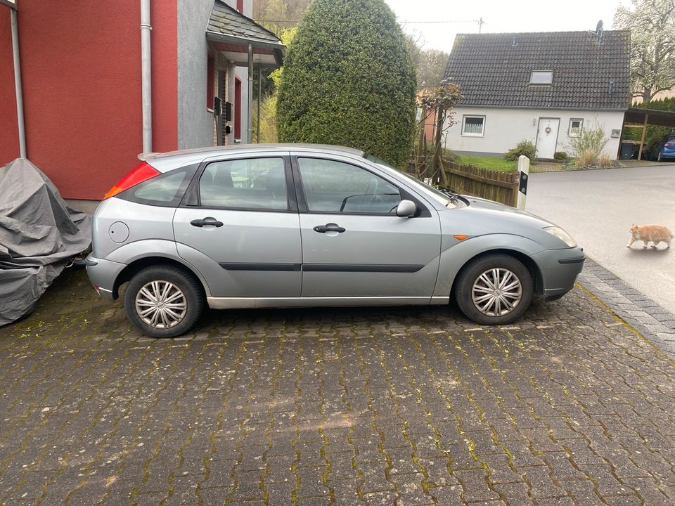 Ford Focus 1.8 mit 1,5 Jahren TÜV in Ensch