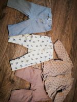 Baby Mädchen Set Hosen Strickjacke Nordrhein-Westfalen - Lichtenau Vorschau