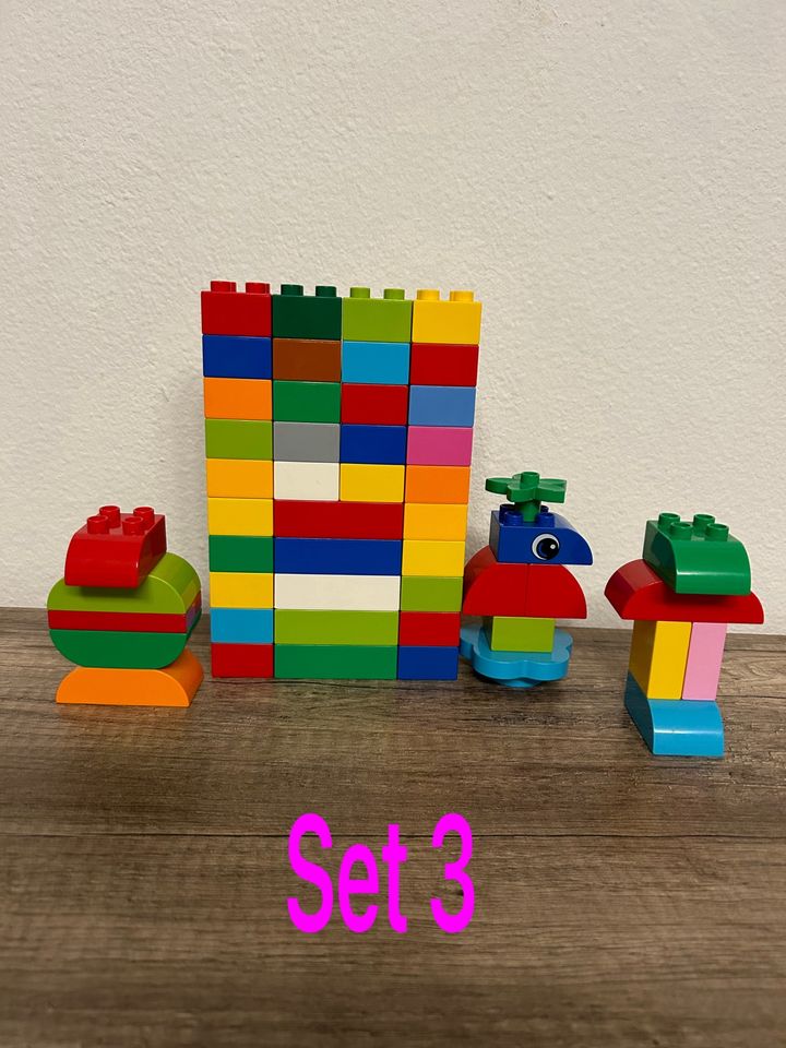 50 Lego Duplo Steine bunt 4er 8er flach Konvolut 4 Sets in Rahden