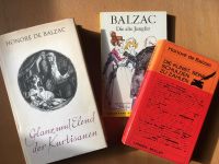 Balzac Glanz und Elend Kunst seine Schulden zu zahlen alt Jungfer Schleswig-Holstein - Großhansdorf Vorschau