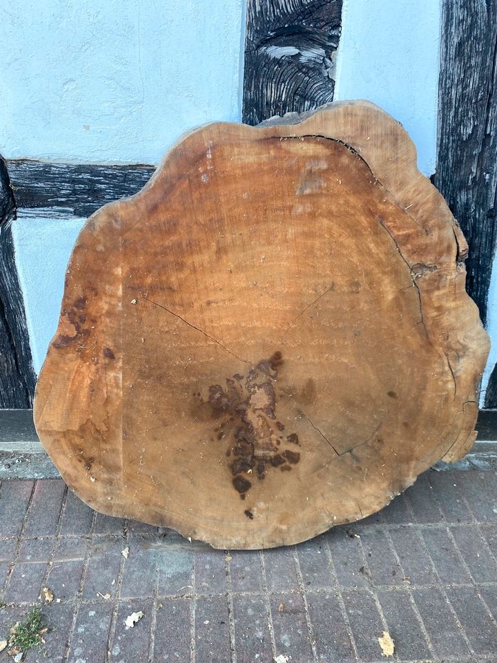 Baumscheibe Mammutbaum Couchtisch Wohnzimmertisch Tisch Holz in Bielefeld