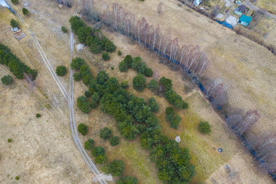 Naturnahes Grundstück auf dem Kap Mersrags in Lettland in Berlin