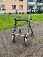 Dietz Rollator Nordrhein-Westfalen - Bergkamen Vorschau