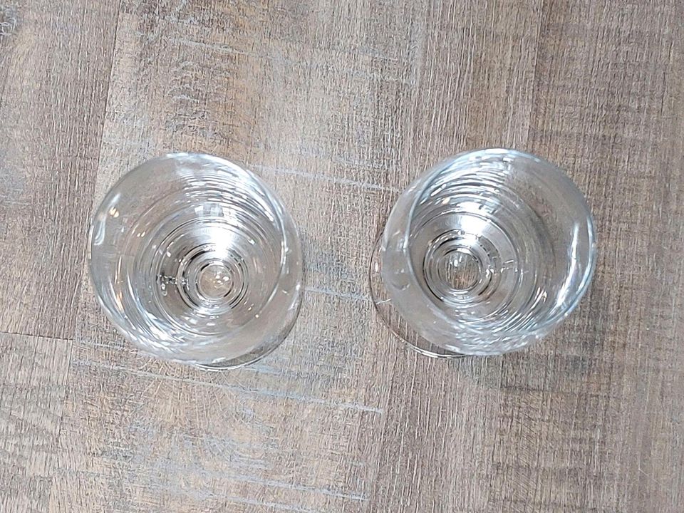 2x Fürstenberg Bierglas Pokal 0,3l Pils Tulpe Pilsner Bier Glas in Heilbronn