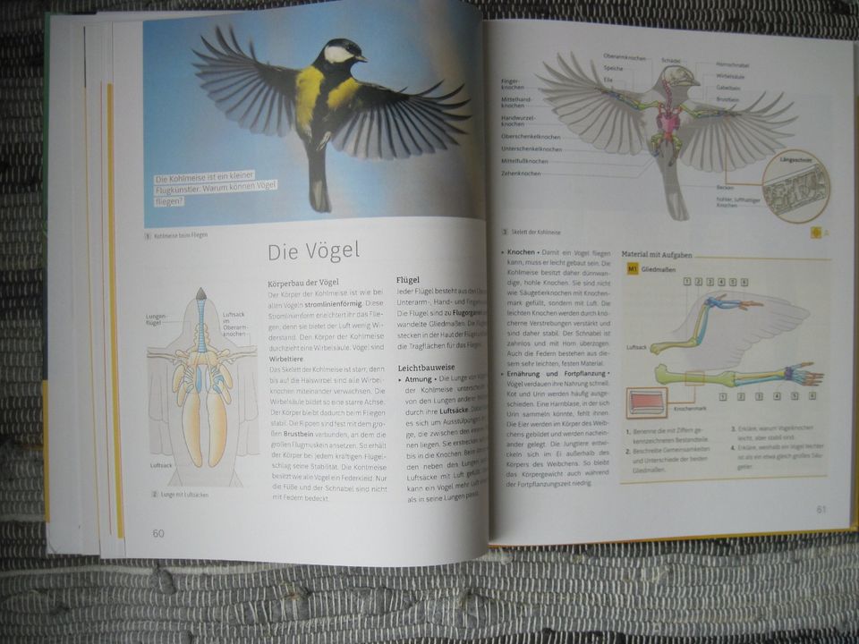 Blickpunkt 6 Biologiebuch von 2024 Biologie Naturwissenschaft NEU in Augsburg