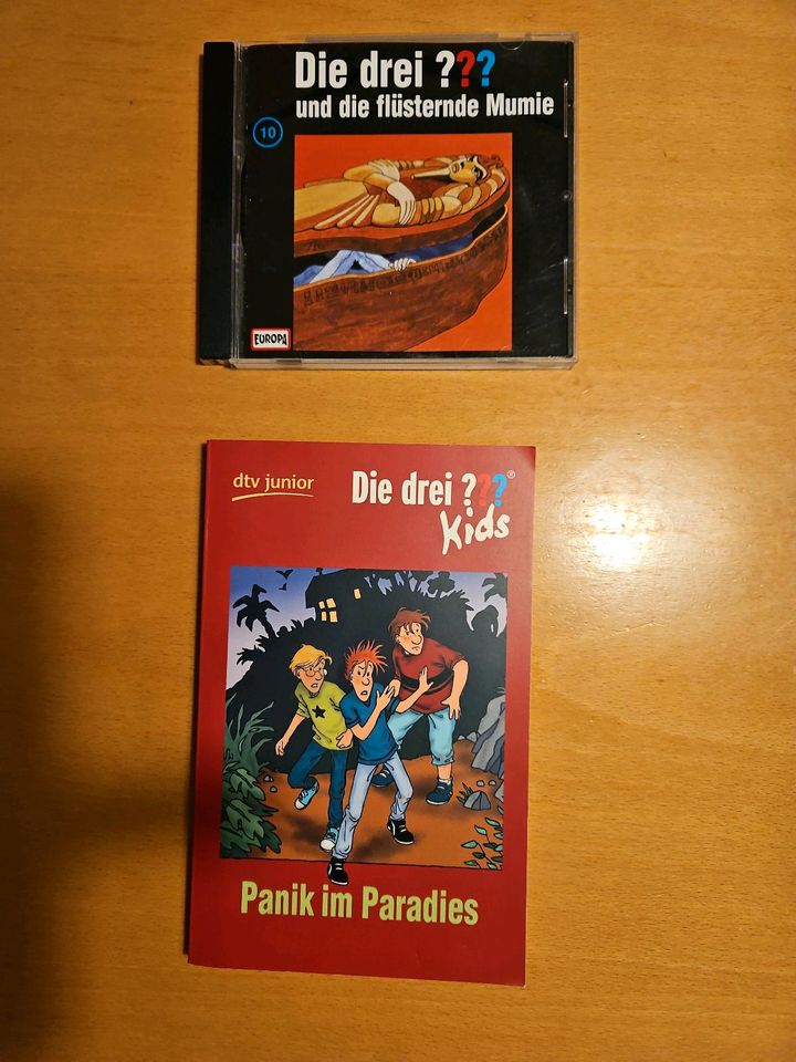 Die drei Fragezeichen kids, Buch Panik im Paradies, in Flensburg