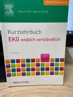 EKG endlich verständlich Ohly Sachsen - Kaufbach Vorschau