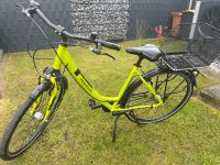 Fahrrad  Citybike Pegasus Solero SL 28 Zoll Rahmengröße 50cm Niedersachsen - Spelle Vorschau