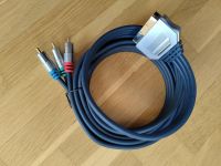 Professionelles, 2m langes RGB-Kabel, Scart auf 3x RCA (YCbCr) Bonn - Beuel Vorschau