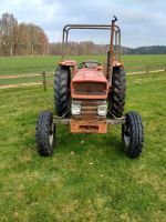 MF 158 Massey Ferguson Traktor Schlepper Niedersachsen - Steinhorst Vorschau