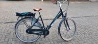 Holland Rad Brinkers E-Bike - Damenrad Nordrhein-Westfalen - Datteln Vorschau