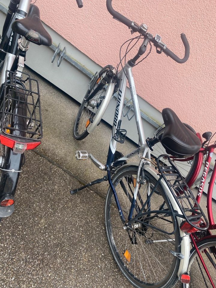 Zwei Damen Fahrrad 150€ in Leipheim