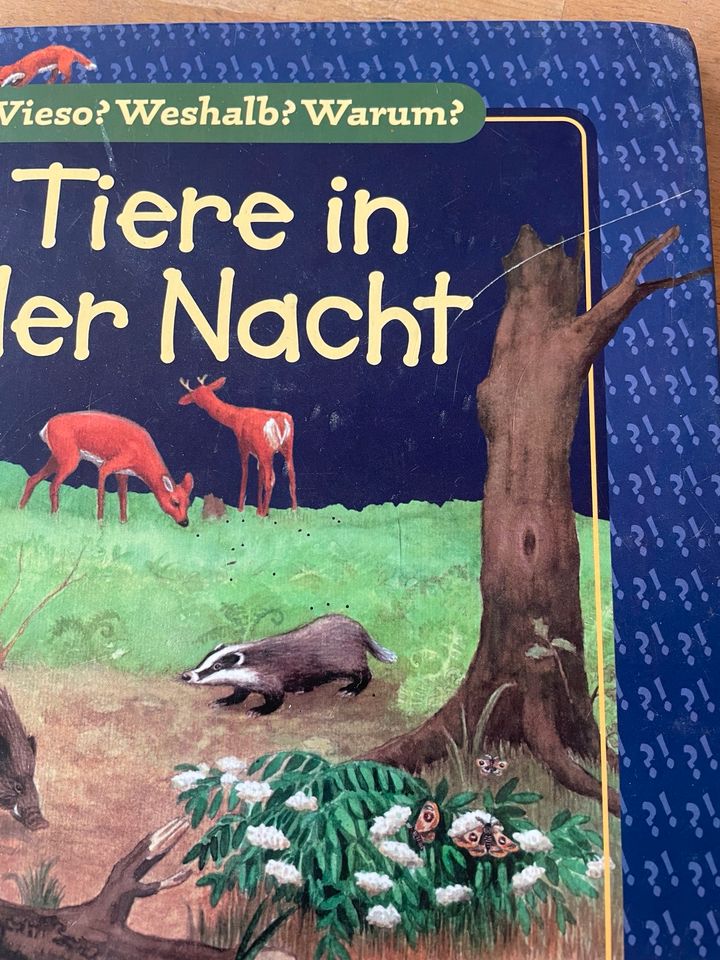 10 Bücher wieso?weshalb?warum? in Tornesch