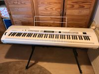 Stagepiano Medeli SP 4200 weiß Bayern - Zwiesel Vorschau